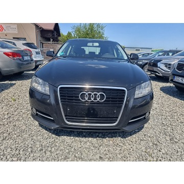 Audi A3  Hatchback 2010,  1.6 diesel - Na sprzedaż za 8 900,00 zł - Pogwizdów - zdjęcie 8