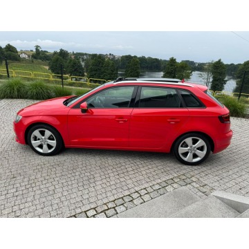 Audi A3  Hatchback 2015,  2.0 diesel, automat - Na sprzedaż za 46 900 zł - Sierakowice - zdjęcie 3