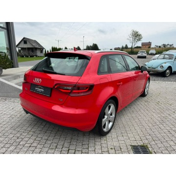 Audi A3  Hatchback 2015,  2.0 diesel, automat - Na sprzedaż za 46 900 zł - Sierakowice - zdjęcie 9