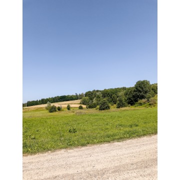 Działka Joniny sprzedam, pow. 42 500 m2  (4.25ha) - zdjęcie 5