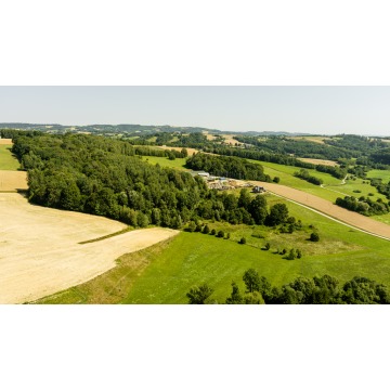 Działka Joniny sprzedam, pow. 42 500 m2  (4.25ha) - zdjęcie 7