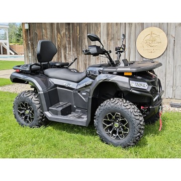 DIABOLINI BEAST 450 L Quad dużych rozmiarów 4x4... - Quady - Bicz - zdjęcie 3