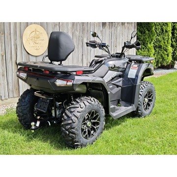 DIABOLINI BEAST 450 L Quad dużych rozmiarów 4x4... - Quady - Bicz - zdjęcie 5