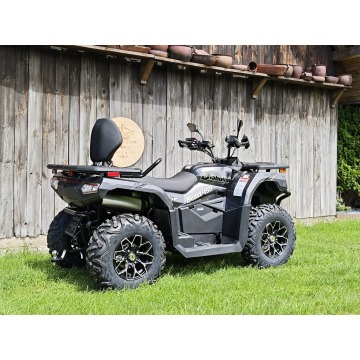 DIABOLINI BEAST 450 L Quad dużych rozmiarów 4x4... - Quady - Bicz - zdjęcie 12