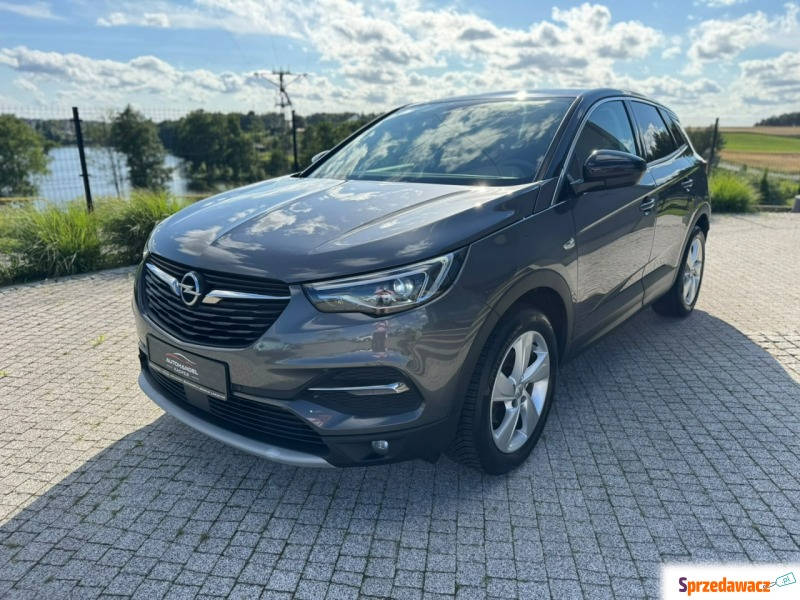 Opel Grandland X  SUV 2018,  1.5 diesel, automat - Na sprzedaż za 48 900 zł - Sierakowice