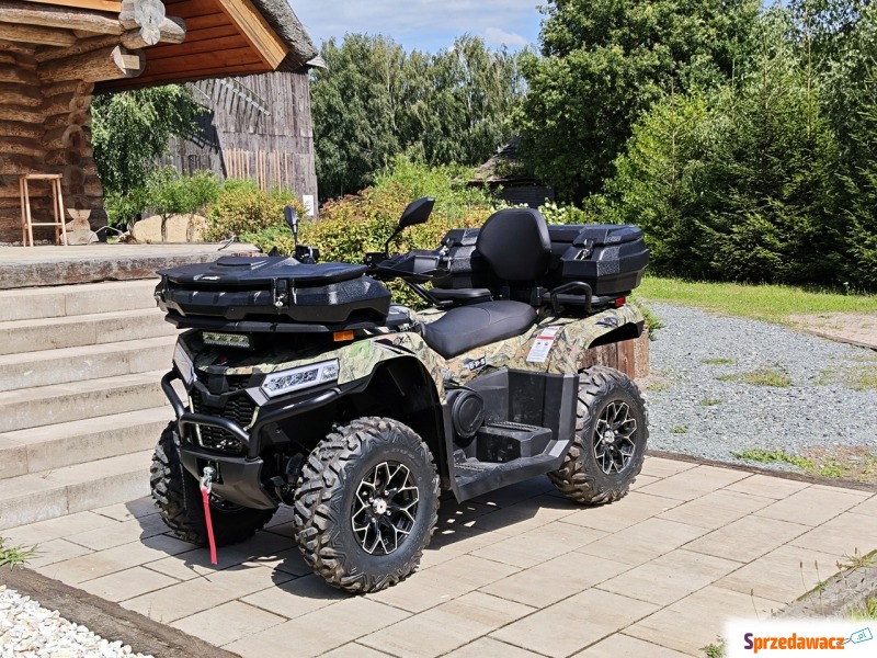 DIABOLINI BEAST 450 L Quad dużych rozmiarów 4x4... - Quady - Bicz