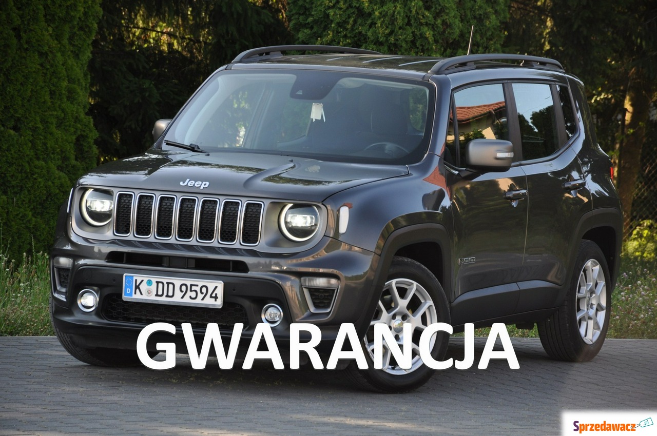 Jeep Renegade 2019