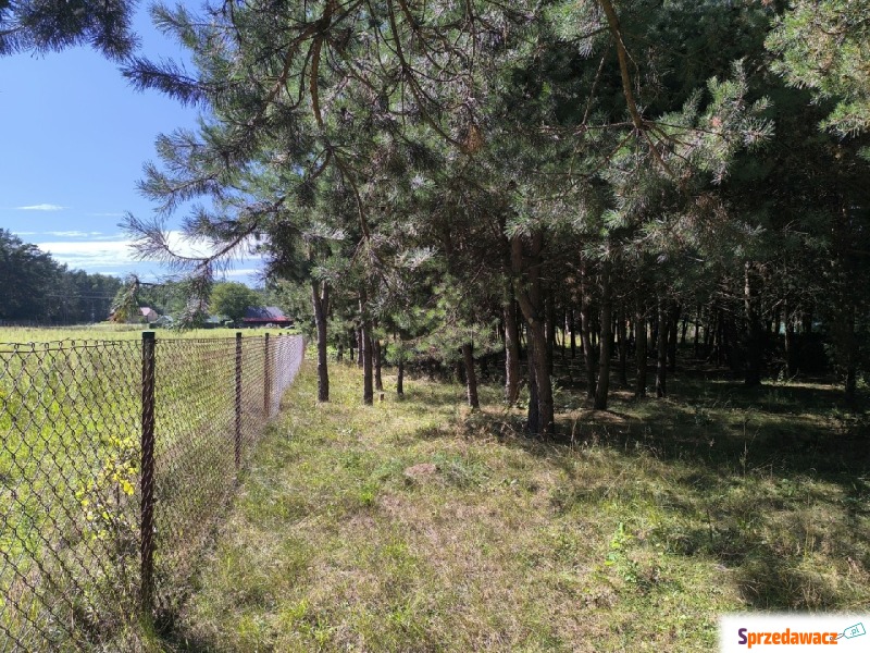 Działka rolna Bocheniec sprzedam, pow. 3600 m2  (36a)
