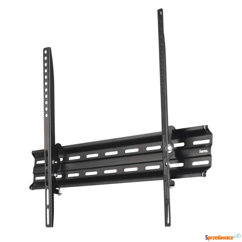 Hama Motion XL 32'' - 75''