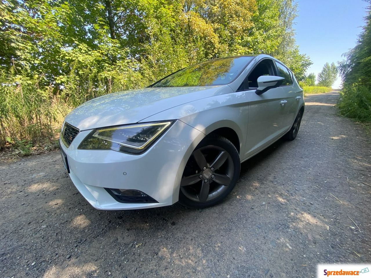 Seat Leon 2013