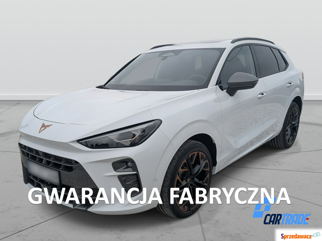 Cupra Terramar 2026