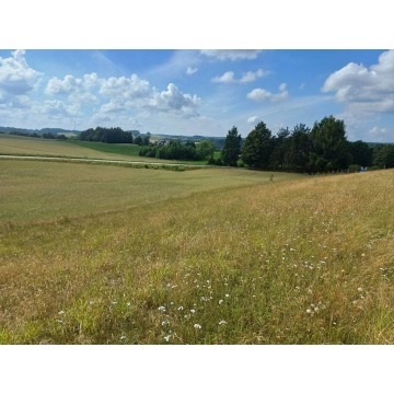 Działka budowlana na sprzedaż, 1011m², Borzestowska Huta