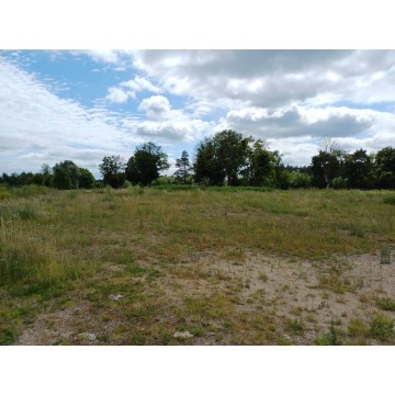 Działka budowlana Trzcińsk sprzedam, pow. 2327 m2  (23.3a) - zdjęcie 7