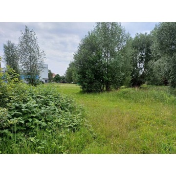 Działka przemysłowa Malbork sprzedam, pow. 3000 m2  (30a) - zdjęcie 6