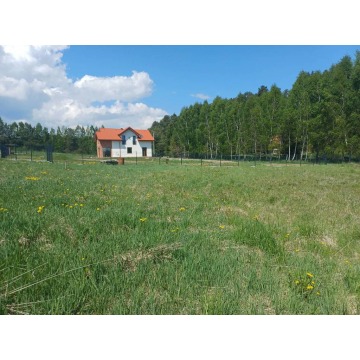 Działka budowlana Leźno sprzedam, pow. 5544 m2  (55.4a) - zdjęcie 6