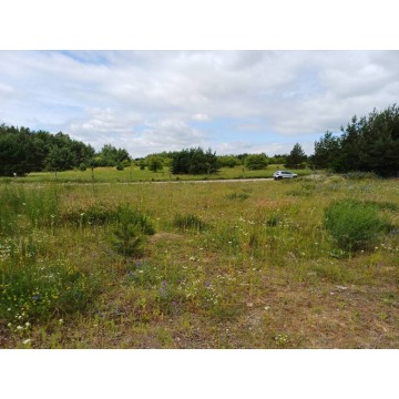 Działka budowlana Trzcińsk sprzedam, pow. 2327 m2  (23.3a) - zdjęcie 8