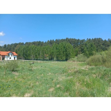 Działka budowlana Leźno sprzedam, pow. 5544 m2  (55.4a) - zdjęcie 3