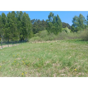 Działka budowlana Leźno sprzedam, pow. 5544 m2  (55.4a) - zdjęcie 4