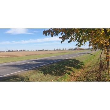 Działka przemysłowa Werbkowice sprzedam, pow. 18 186 m2  (1.82ha) - zdjęcie 5