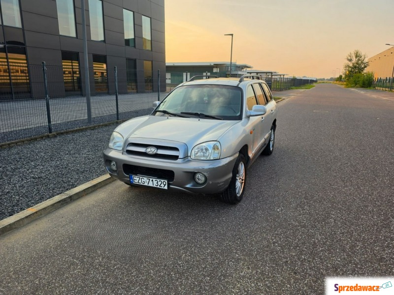 Hyundai Santa Fe  SUV 2005,  2.0 diesel - Na sprzedaż za 4 900,00 zł - Pabianice