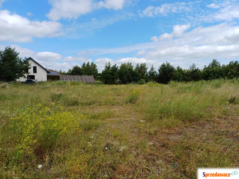 Działka budowlana Trzcińsk sprzedam, pow. 2327 m2  (23.3a)