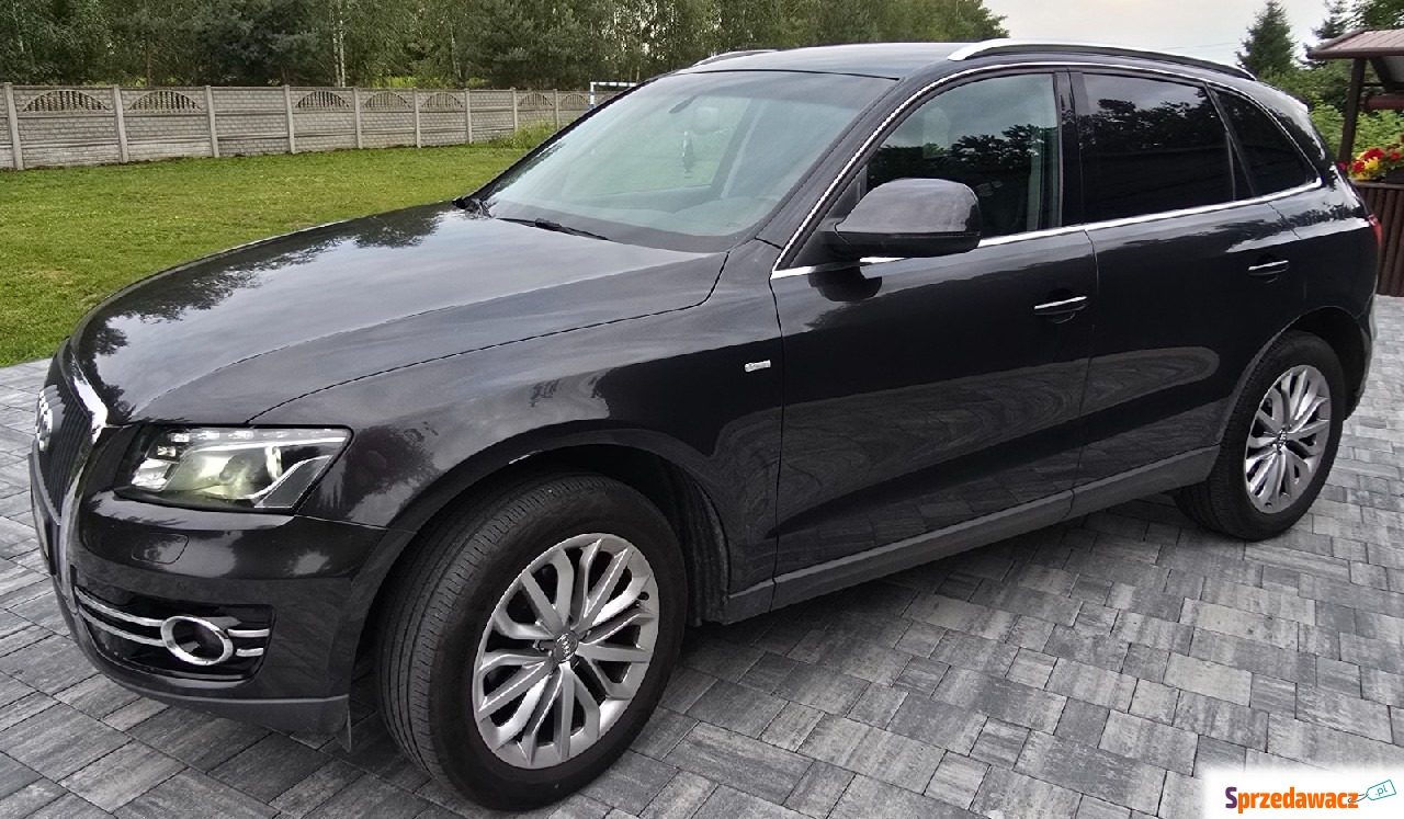 Audi Q5 2010