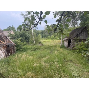 Działka budowlana Nagoszyn sprzedam, pow. 34 000 m2  (3.4ha) - zdjęcie 4