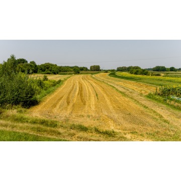 Działka budowlana Tarnów sprzedam, pow. 3000 m2  (30a) - zdjęcie 2