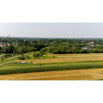 Działka budowlana Tarnów sprzedam, pow. 3000 m2  (30a) - zdjęcie 5