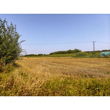 Działka budowlana Tarnów sprzedam, pow. 3000 m2  (30a) - zdjęcie 8