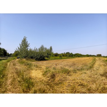 Działka budowlana Tarnów sprzedam, pow. 3000 m2  (30a) - zdjęcie 7