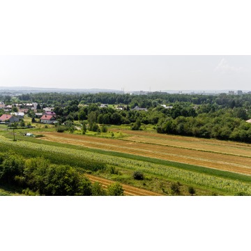 Działka budowlana Tarnów sprzedam, pow. 3000 m2  (30a) - zdjęcie 3