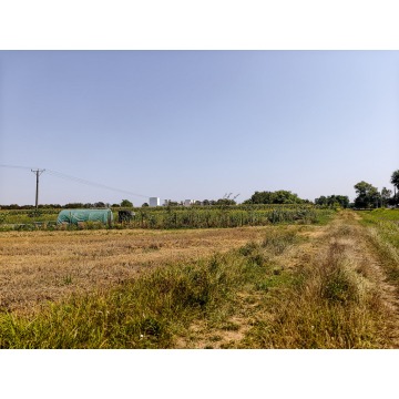 Działka budowlana Tarnów sprzedam, pow. 3000 m2  (30a) - zdjęcie 6