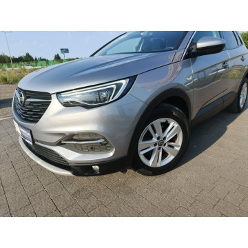 Opel Grandland X  SUV 2020,  1.5 diesel - Na sprzedaż za 51 800 zł - Lipówki - zdjęcie 2