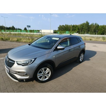 Opel Grandland X  SUV 2020,  1.5 diesel - Na sprzedaż za 51 800 zł - Lipówki - zdjęcie 3