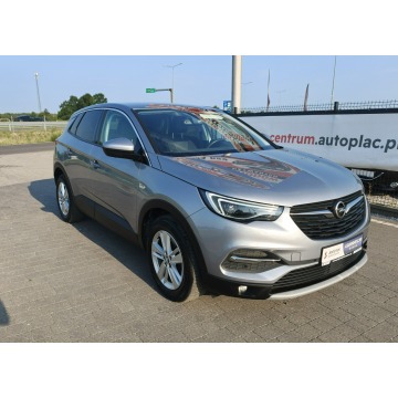 Opel Grandland X  SUV 2020,  1.5 diesel - Na sprzedaż za 51 800 zł - Lipówki - zdjęcie 6