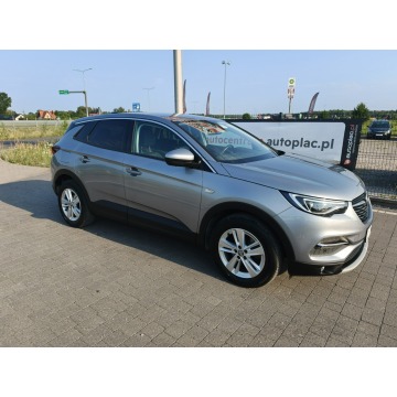 Opel Grandland X  SUV 2020,  1.5 diesel - Na sprzedaż za 51 800 zł - Lipówki - zdjęcie 7