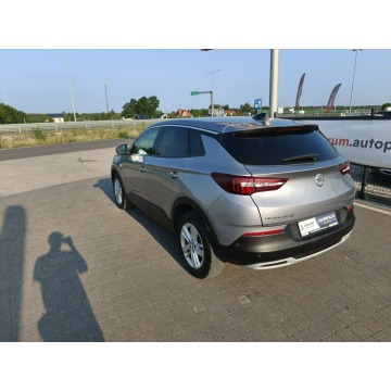 Opel Grandland X  SUV 2020,  1.5 diesel - Na sprzedaż za 51 800 zł - Lipówki - zdjęcie 11