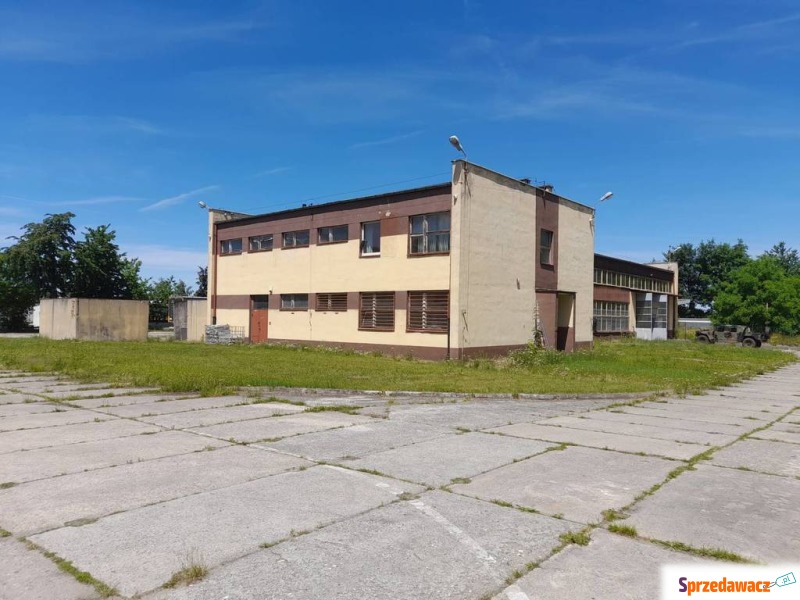 Hala/magazyn na sprzedaż - Hale, magazyny na sprzedaż - Głubczyce