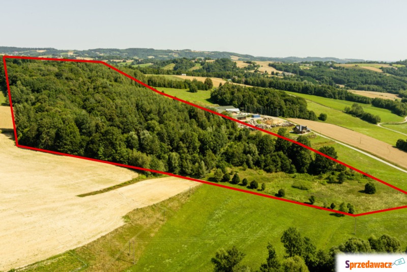 Działka Joniny sprzedam, pow. 42 500 m2  (4.25ha)