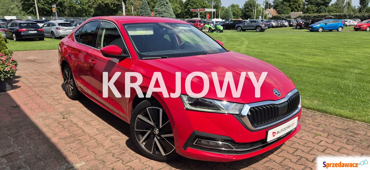 Skoda Octavia 2023