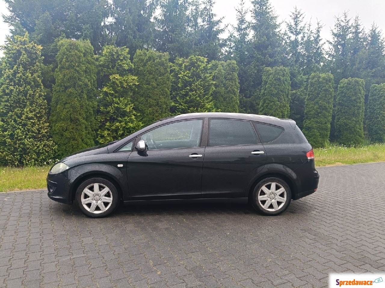 Seat Altea XL 2007