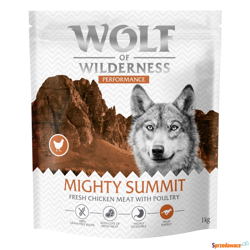 Wolf of Wilderness 