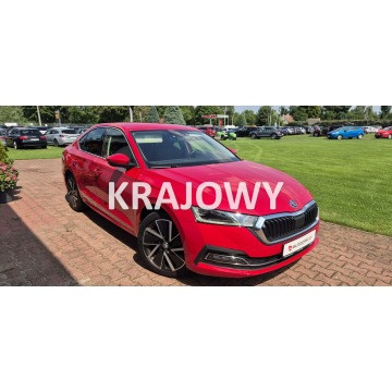Skoda Octavia  Liftback 2023,  2.0 diesel, automat - Na sprzedaż za 69 900 zł - Paproć - zdjęcie 1