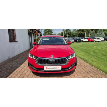 Skoda Octavia  Liftback 2023,  2.0 diesel, automat - Na sprzedaż za 69 900 zł - Paproć - zdjęcie 2