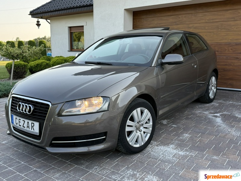 Audi A3  Hatchback 2011,  2.0 diesel - Na sprzedaż za 23 900 zł - Konradów