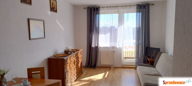 Mieszkanie jednopokojowe Szczecin - Niebuszewo,   35 m2, pierwsze piętro - Do wynajęcia