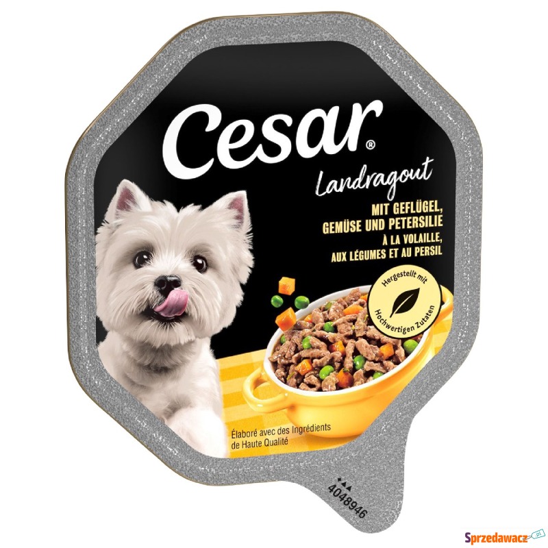 Cesar w tackach, 14 x 150 g - Landragout, drób... - Karmy dla psów - Legnica