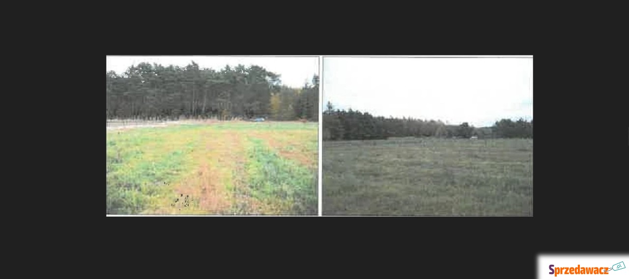 Działka, 4 999 m², Słonów