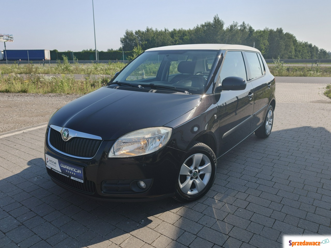 Skoda Fabia 2009